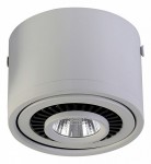 Потолочный светильник Favourite 1775-1C Reflector