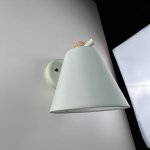 Настенное бра NATURA WALL B ImperiumLoft 178000-26