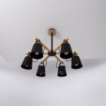 Люстра потолочная на штанге NATURA C6 black ImperiumLoft 178001-26