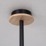 Люстра потолочная на штанге NATURA C6 black ImperiumLoft 178001-26