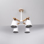 Люстра потолочная на штанге NATURA C4 white ImperiumLoft 178003-26