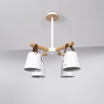 Люстра потолочная на штанге NATURA C4 white ImperiumLoft 178003-26