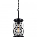 Люстра Favourite 1783-1P Mesh