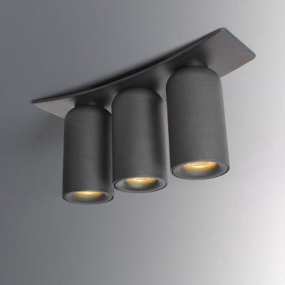 Потолочный светильник D TRIO Черный ImperiumLoft 178383-26