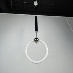 Подвесной светильник RING L D30 Серебро ImperiumLoft 178413-26