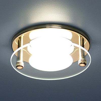 Светильник Elektrostandard 1787 R50 GD золото 