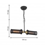 Люстра Favourite 1788-2P Strainer