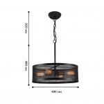 Люстра Favourite 1789-4P Strainer