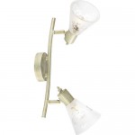 Потолочный светильник Favourite 1794-2U Gumbata