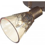 Потолочный светильник Favourite 1795-3U Gumbata