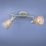 Потолочный светильник Favourite 1796-2U Arabian Drim