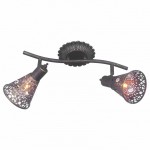 Потолочный светильник Favourite 1797-2U Arabian Drim