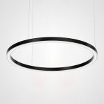 Люстра Light Ring Horizontal D120 Черный ImperiumLoft 179726-22