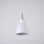 Подвесной светильник OMG C White ImperiumLoft 179776-26