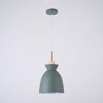 Подвесной светильник OMG C Green ImperiumLoft 179781-26