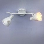 Потолочный светильник Favourite 1798-2U Martos