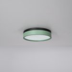 Потолочный светильник KIER D30 Green ImperiumLoft 181021-26