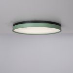 Потолочный светильник KIER D60 Green ImperiumLoft 181024-26