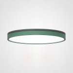 Потолочный светильник KIER D60 Green ImperiumLoft 181024-26