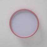 Потолочный светильник KIER D30 Pink ImperiumLoft 181025-26