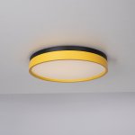 Потолочный светильник KIER D40 Yellow ImperiumLoft 181028-26