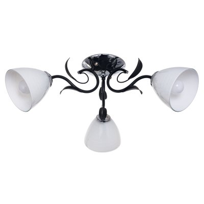 Потолочный светильник Экономсвет 181/3CR+BK WT