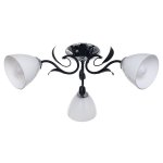 Потолочный светильник Экономсвет 181/3CR+BK WT