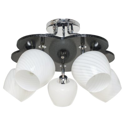 Люстра эконом Экономсвет 1829LM/5BK WT