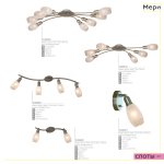 Светильник поворотный спот Citilux CL524521 Мери