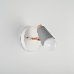 Настенный светильник ROTARY WALL Серый ImperiumLoft 185371-26