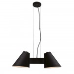 Люстра Favourite 1854-2P Conus