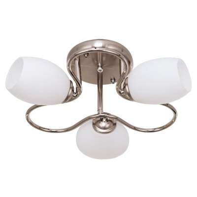 Потолочный светильник Экономсвет 1856/3SN WT