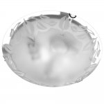 Светильник настенно-потолочный Arte lamp A4020PL-3CC Leaves