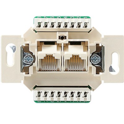 Gira Мех Розетка ТЛФ 2-ая наклонная с разъемом LSA-plus(Rutenbeck) (G18900)