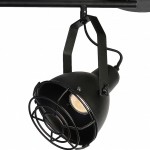 Потолочный светильник Favourite 1897-4C Manufactory