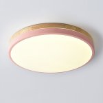 Потолочный светильник DISC DH D27 Pink ImperiumLoft 189894-26