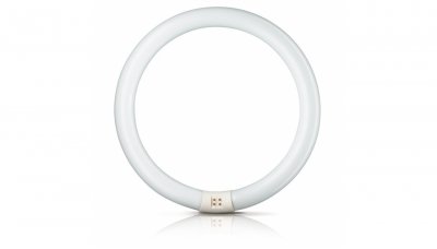Sylvania FC22W/840 4000К G10Q d=29 мм d1=215,9 мм холодный белый - лампа люминесцентная T9 Circline