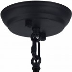 Люстра Favourite 1911-1P Triply