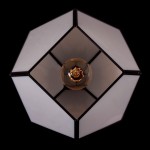 Подвесная люстра Favourite 1916-1P Eislager