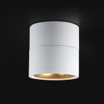 Потолочный светильник AGENDA White+Gold 10W ImperiumLoft 191836-26