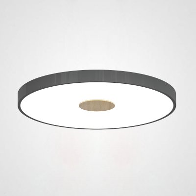 Потолочный светильник CENTRUM D40 Black ImperiumLoft 192937-26