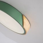 Потолочный светильник CLIP Green D40 ImperiumLoft 193047-26