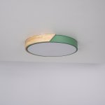 Потолочный светильник CLIP Green D40 ImperiumLoft 193047-26