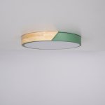 Потолочный светильник CLIP Green D40 ImperiumLoft 193047-26
