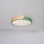 Потолочный светильник CLIP Green D40 ImperiumLoft 193047-26