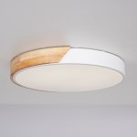 Потолочный светильник CLIP White D40 ImperiumLoft 193048-26