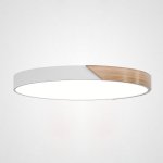 Потолочный светильник CLIP White D50 ImperiumLoft 193049-26