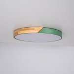 Потолочный светильник CLIP Green D50 ImperiumLoft 193050-26