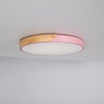 Потолочный светильник CLIP Pink D50 ImperiumLoft 193051-26