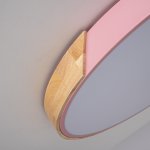 Потолочный светильник CLIP Pink D50 ImperiumLoft 193051-26